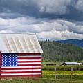 American Landscape